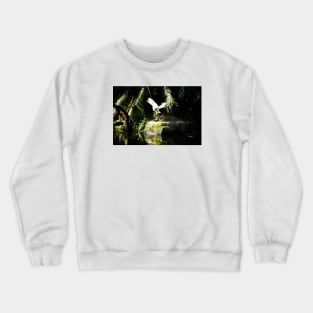 Grus taking off Crewneck Sweatshirt